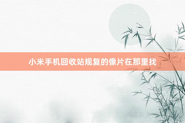 小米手机回收站规复的像片在那里找